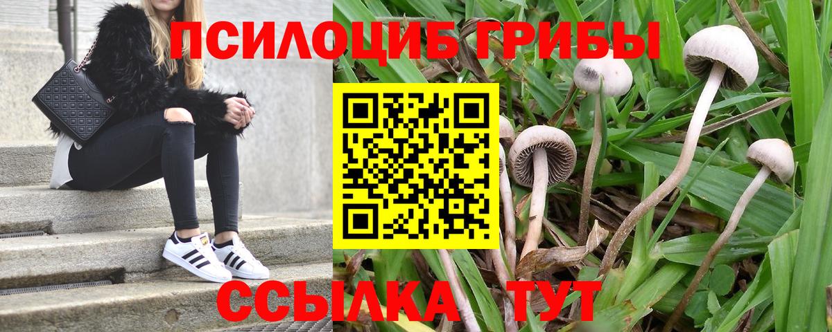 Барнаул  Псилоцибиновые грибы Magic Shrooms  Вход с VPN 